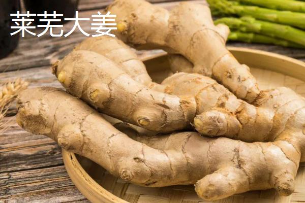 生姜相关介绍，属于姜科、姜属多年生草本植物