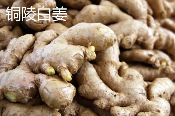 生姜相关介绍，属于姜科、姜属多年生草本植物